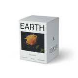 HOMEWORK CANDLE - EARTH