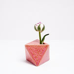 A salmon pink  diamond-shaped, Japanese ceramic bud vase, holding a small white flower bud. On show at NiMi Projects UK.